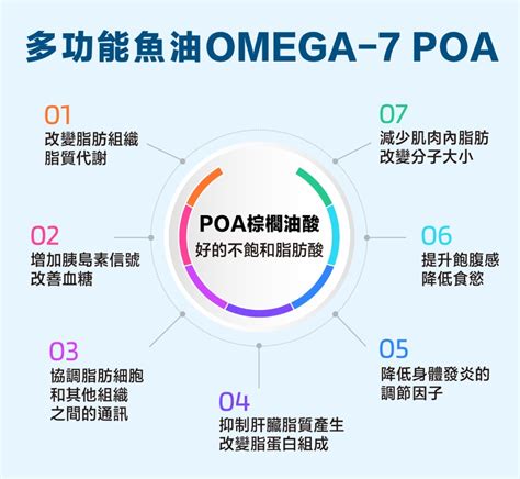 Omega 7：長鏈不飽和脂肪酸的健康守護者