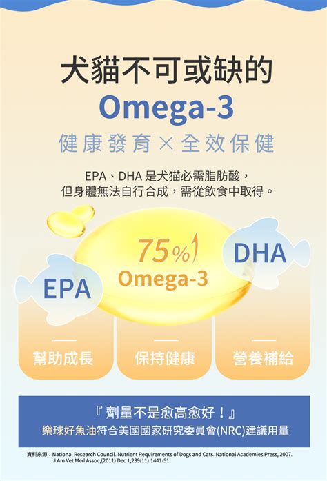 Omega-3，呵護毛孩健康的金鑰匙