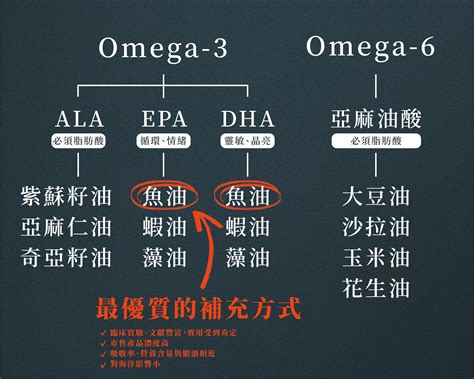 Omega-3 和 Omega-6 脂肪酸：