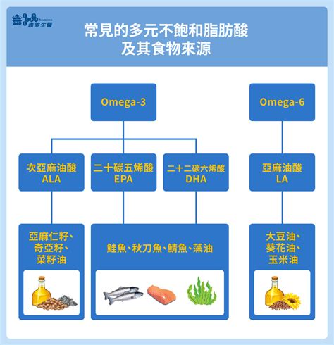 Omega-3 是什麼？