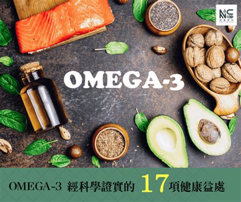 Omega-3 脂肪酸對狗狗的益處