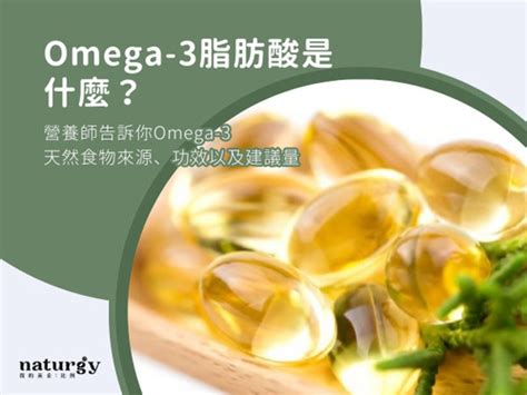 Omega-3 脂肪酸：汪星人的健康聖品