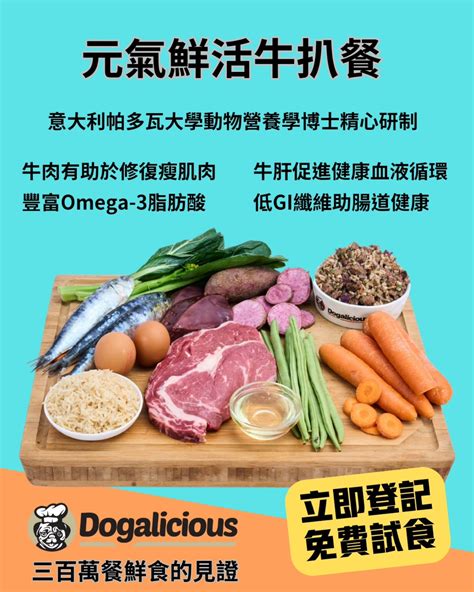 Omega-3 脂肪酸：狗狗健康不可或缺的關鍵