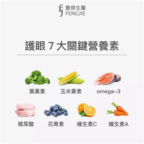 Omega-7：打造健康人生的7大關鍵功效