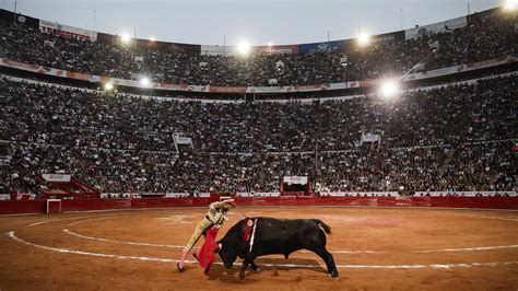 On Bullfighting Reader