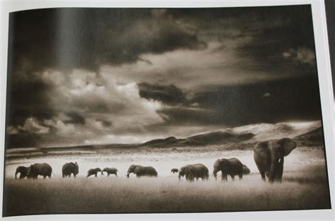 On This Earth Photographs from East Africa