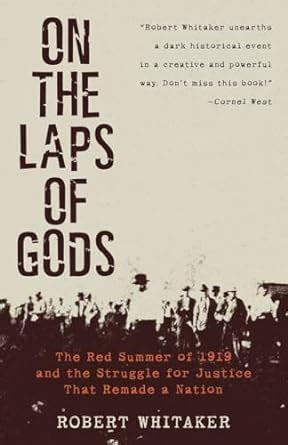 On the Laps of Gods The Red Summer of 1919 and the Struggle for Justice That Remade a Nation Doc