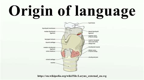 On the Origin of Language PDF