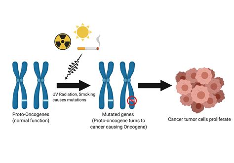 Oncogenes Doc