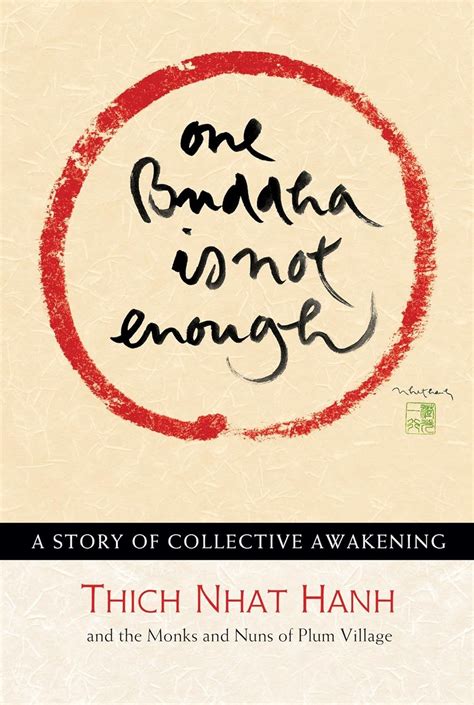 One Buddha is Not Enough A Story of Collective Awakening Doc