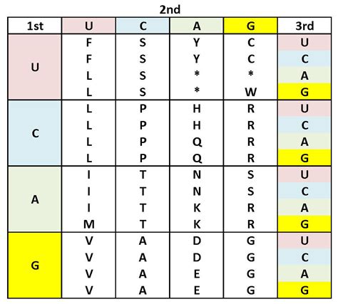One Letter Amino Acid Chart