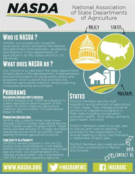 One-Pager Examples for American Attitudes About Government