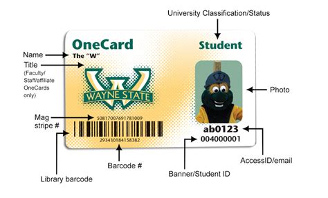 OneCard: Your Essential Tool at Wayne State University
