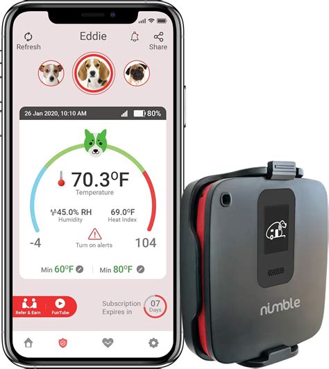 OneDegree Pet Fever Monitoring System Review: 2025