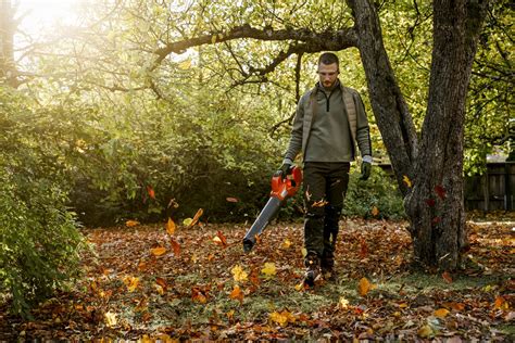 Ongeluk met een Bladblazer: Voorkomen, Behandeling en Herstel