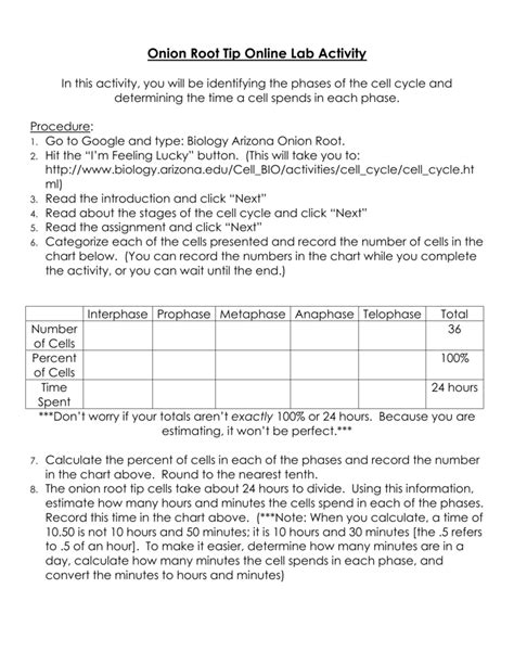 Onion Root Tip Activity Answers PDF