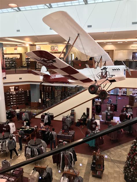 Online Bookstore Alibris: Discover a Literary Oasis for Bookworms and Collectors Alike