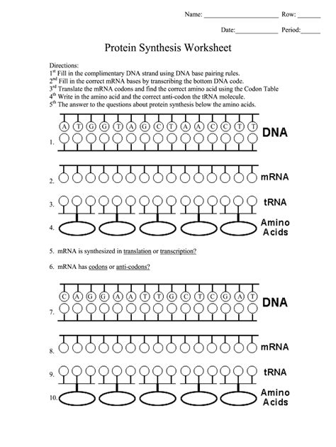 Online Protein Synthesis Worksheet And Answers Reader
