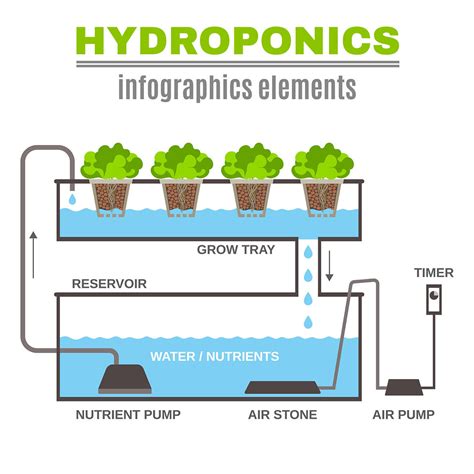 OnlyHydro: A Comprehensive Guide to Hydroponic Gardening