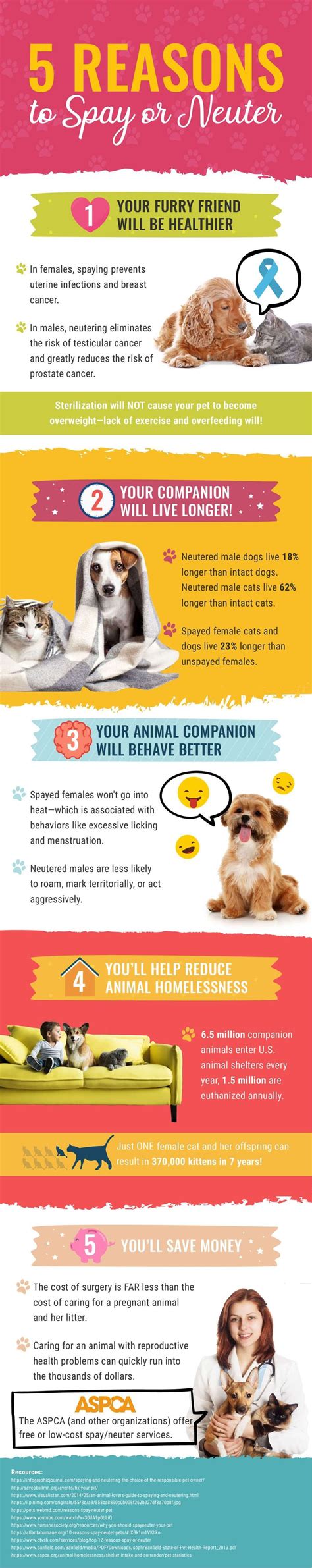 Ontario's 7 Vital Reasons for Spaying and Neutering Your Pets