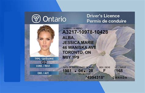 Ontario Drivers Licence Template Ebook Doc