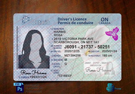 Ontario Drivers Licence Template Ebook Doc