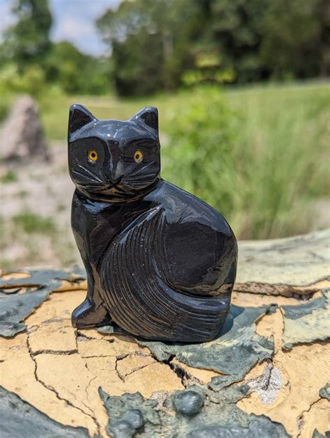 Onyx the Cat: 9 Surprising Facts, 10+ Care Tips, and Why It's the Coolest