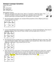 Oompa Loompa Genetics Answer Sheet Reader