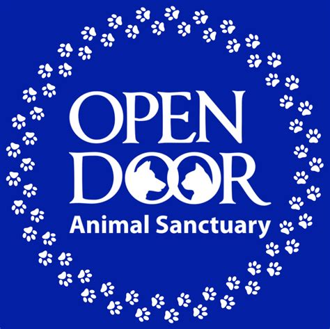 Open Door Animal Sanctuary: A Haven for Rescued Animals