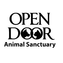 Open Door Animal Sanctuary: A Haven for Rescued Animals in Missouri