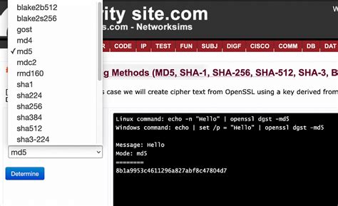 OpenSSL dgst: The Swiss Army Knife of Cryptographic Hashing