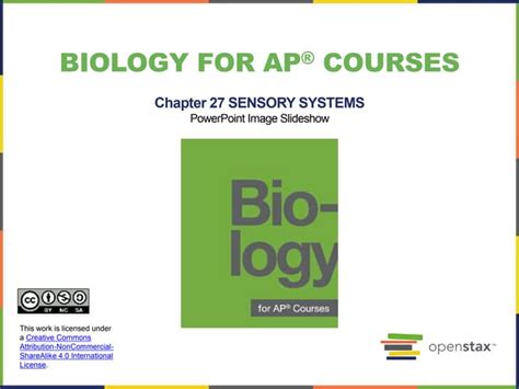 OpenStax AP Biology: Empowering Future Scientists with Rigorous Content