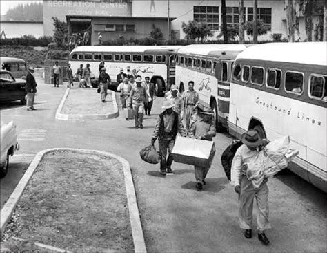 Operation Wetback The Mass Deportation of Mexican Undocumented Workers in 1954 Reader