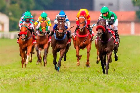 Oportunidades Globais para Apostas em Corridas de Cavalos