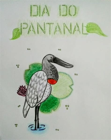 Oportunidades de Aposta no Pantanal