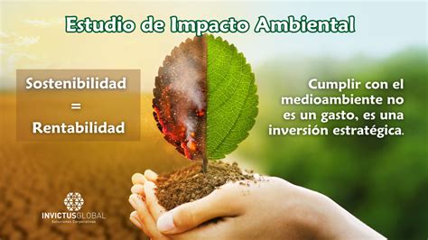 Oportunidades de Investimento com Impacto Ambiental