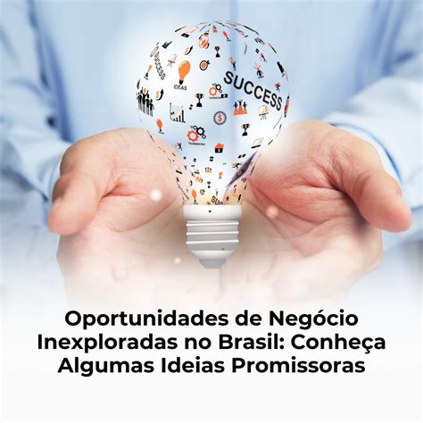 Oportunidades de Negócio Promissoras