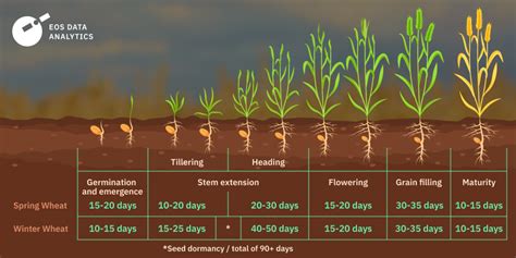 Optimal growing conditions: