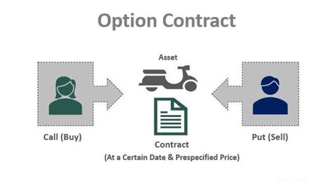 Option Contracts: