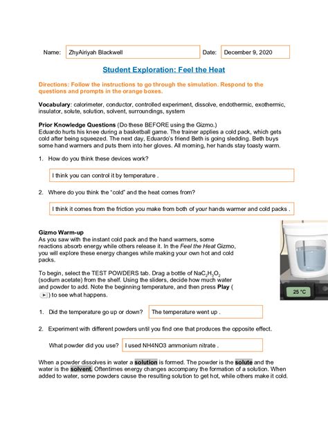 Options For Youth Answer Key PDF