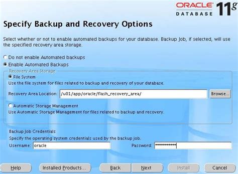 Oracle 11g Backup Standby Without Recovery Catalog