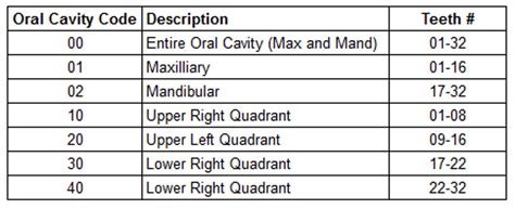 Oral Cavity Code Chart