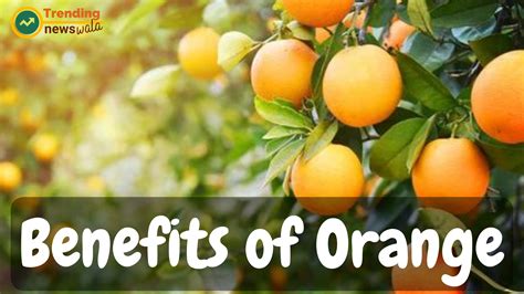 Oranges and Stones: An Unlikely Pair with Surprising Benefits