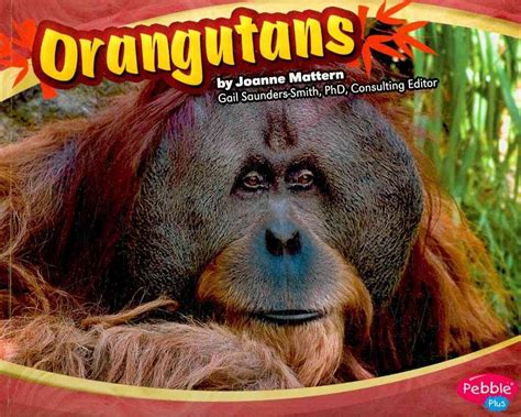 Orangutans (Asian Animals) (Pebble Plus: Asian Animals) Epub