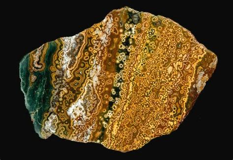 Orbicular Jasper: A Comprehensive Guide to Its Astonishing Properties