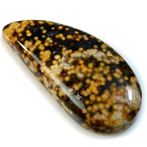 Orbicular Jasper: A Stone of Harmony and Balance