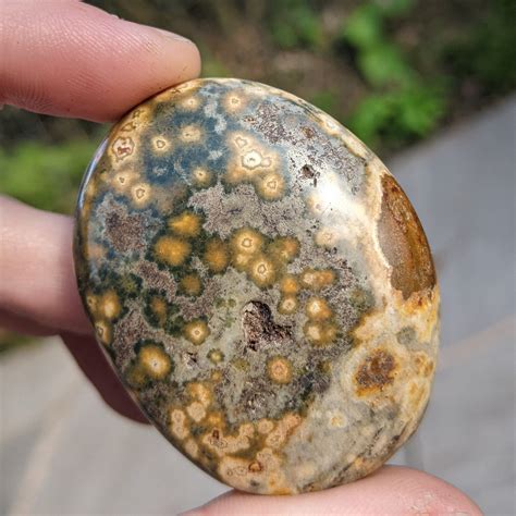 Orbicular Ocean Jasper: A Comprehensive Guide