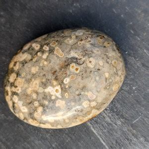 Orbicular Ocean Jasper: A Stone of Miracles