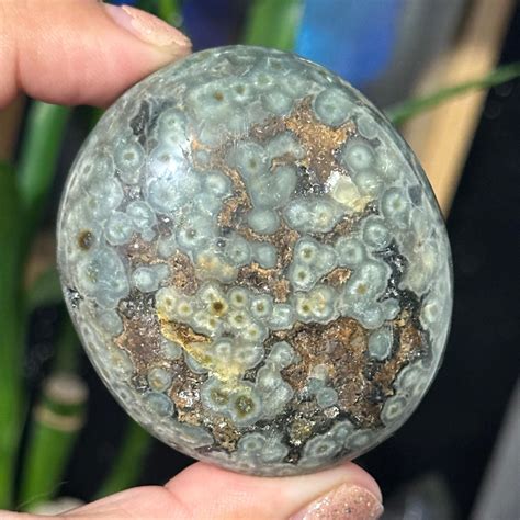 Orbicular Ocean Jasper: The Mystifying Gem with 74,000-Year-Old Orbs