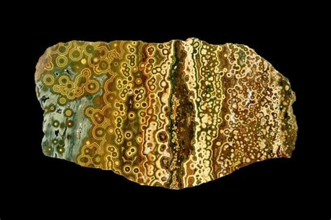 Orbicular Ocean Jasper: Unveiling the Enchanting Seabed Stone